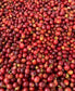 Café Luri Gourmet 8 oz.